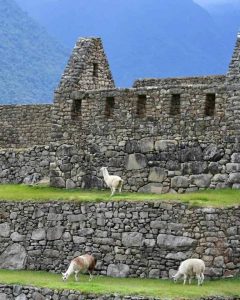 Peru tours