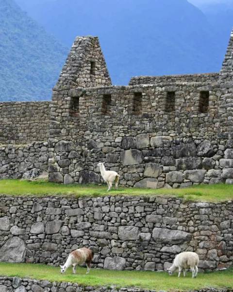 Peru tours